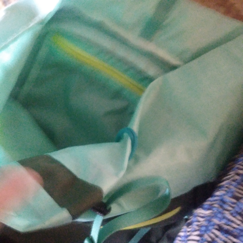 Cotopaxi | Moda 20L Backpack (Spruce) - Picture 4 of 4